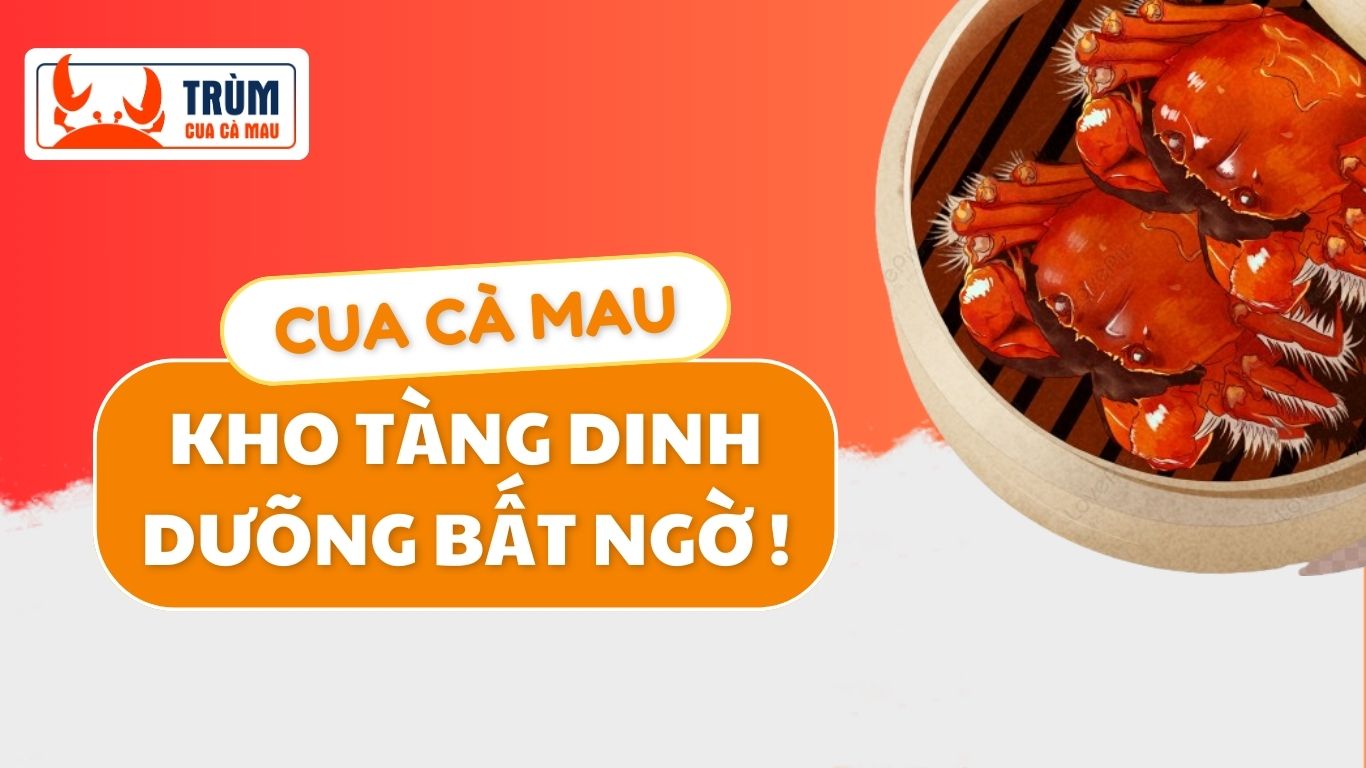 Bản sao của BANNER TCCM